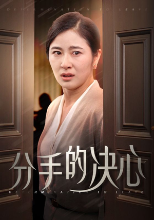 分手的决心(39集) 分手的决心(39集)男主角是谁
