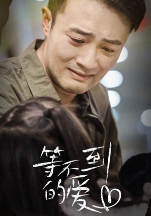 等不到的爱(40集) 等不到的爱(40集)短视频追剧推荐