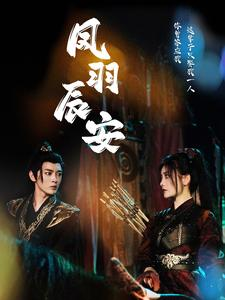 凤羽辰安(100集) 凤羽辰安(100集)高清画质免费看