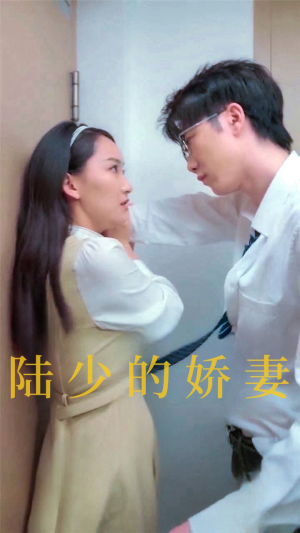 陆少的娇妻(100集) 陆少的娇妻(100集)爆火短剧推荐