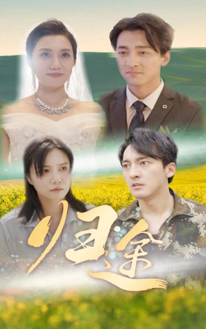 归途(52集) 归途(52集)好看短剧推荐