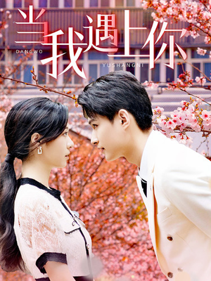 当我遇上你(100集) 当我遇上你(100集)免费短剧看全集