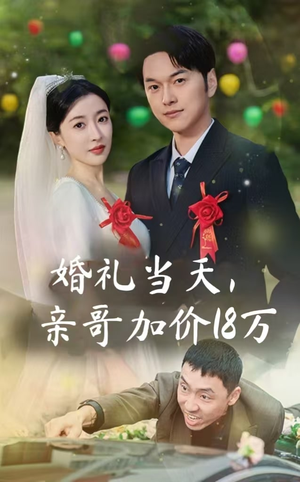 婚礼当天，亲哥加价18万（36集）番茄短剧看全集