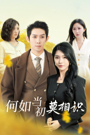 何如当初莫相识(36集) 何如当初莫相识(36集)百万短剧抢先看