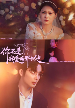 你不是我爱的那个他(54集) 你不是我爱的那个他(54集)女频短剧推荐