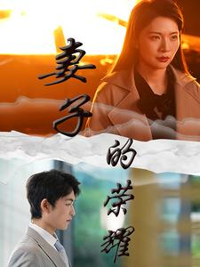 妻子的荣耀(40集) 妻子的荣耀(40集)爱短剧爱追剧