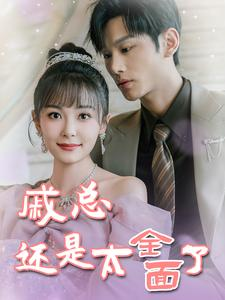 戚总还是太全面了(57集) 戚总还是太全面了(57集)全集完整版