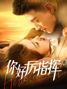 你好厉指挥(100集) 你好厉指挥(100集)全集