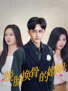 脱胎换骨的婚姻(40集) 脱胎换骨的婚姻(40集)精彩连连免费看