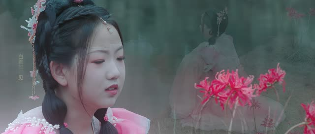 南柯梦(24集) 南柯梦(24集)短剧越看越精彩