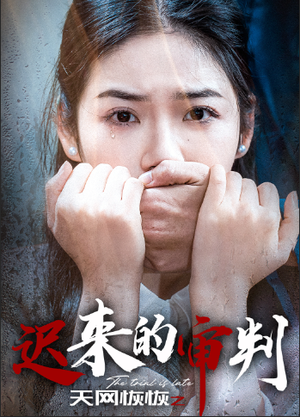 天网恢恢之迟来的审判(31集) 天网恢恢之迟来的审判(31集)集免费看短剧