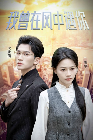 我曾在风中遇你(30集) 我曾在风中遇你(30集)真的太好看了