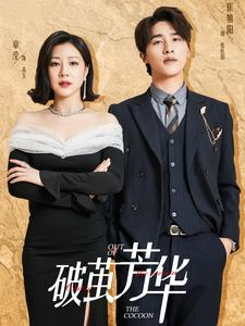 破茧芳华(80集) 破茧芳华(80集)最火短剧热播中