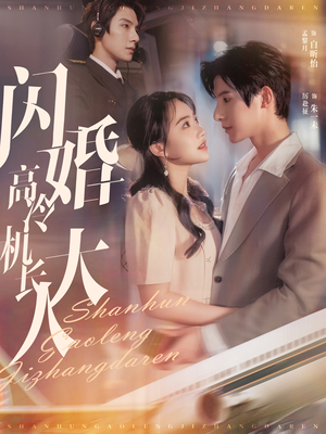 闪婚高冷机长大人(92集) 闪婚高冷机长大人(92集)甜宠短剧推荐