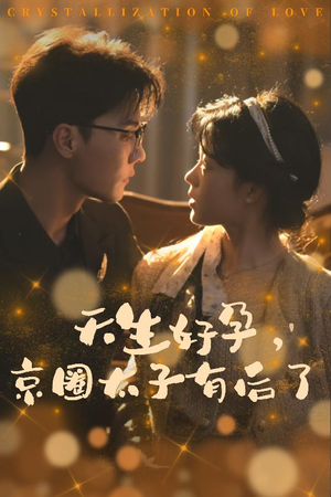 天生好孕,京圈太子有后了(30集) 天生好孕,京圈太子有后了(30集)在线播放