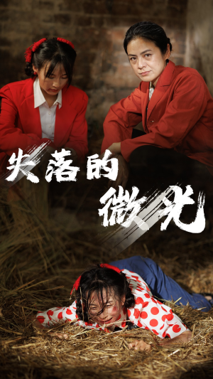 失落的微光(60集) 失落的微光(60集)女频短剧推荐