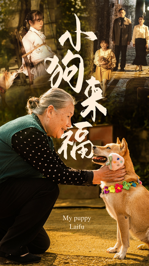 小狗来福(30集) 小狗来福(30集)大结局一气呵成