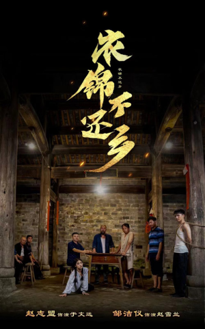 衣锦不还乡(69集) 衣锦不还乡(69集)免费短剧就是爽