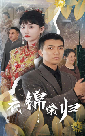 衣锦荣归(81集) 衣锦荣归(81集)完整版免费观看