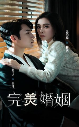 完美婚姻(65集) 完美婚姻(65集)我全都看完了