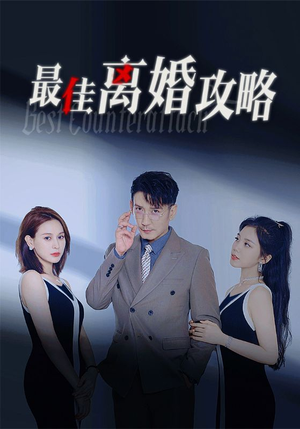 最佳离婚攻略（31集）短剧分享片段