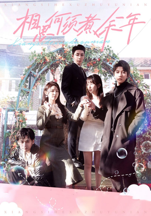 相思何须煮余年(33集) 相思何须煮余年(33集)最后的大结局