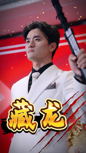 藏龙(30集) 藏龙(30集)最后一集