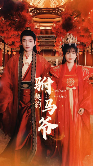 契约驸马爷（74集）红果免费看短剧