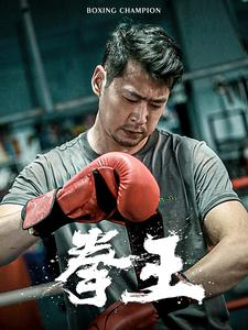 拳王(72集) 拳王(72集)不用花钱看全剧