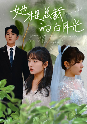 她才是总裁的白月光(90集) 她才是总裁的白月光(90集)全季一次看完