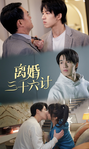 离婚三十六计(96集) 离婚三十六计(96集)最后的大结局