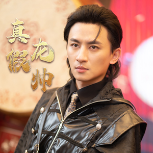 真假龙帅(81集) 真假龙帅(81集)在线看免费版