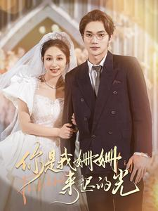 你是我姗姗来迟的光(99集) 你是我姗姗来迟的光(99集)好看的短剧推荐