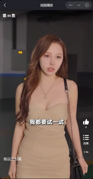 我的富豪美女总裁(我的极品女总裁) 我的富豪美女总裁(我的极品女总裁)免费观看完整版