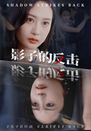 影子的反击(31集) 影子的反击(31集)观看软件