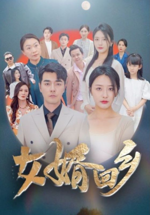 女婿回乡(120集) 女婿回乡(120集)短剧精彩不断