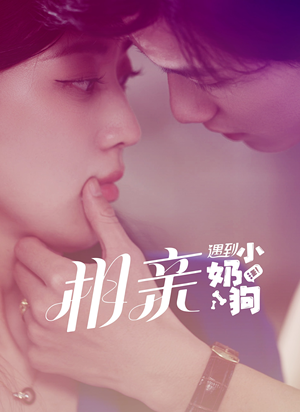 相亲遇到小奶狗(80集) 相亲遇到小奶狗(80集)全集都在这里了