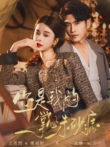 你是我的掌心朱砂痣(80集) 你是我的掌心朱砂痣(80集)大结局