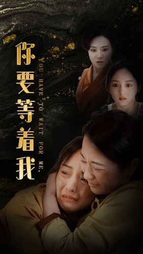 你要等着我(85集) 你要等着我(85集)好看短剧分享