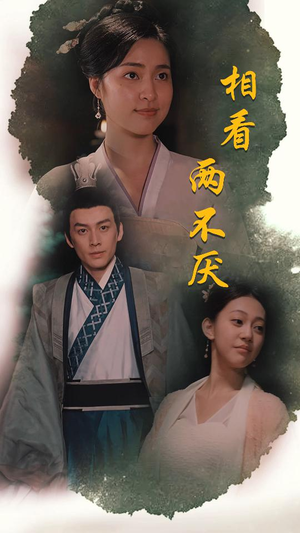 这个王妃不好惹(85集) 这个王妃不好惹(85集)短剧全集更精彩