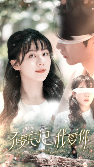 不要忘记我爱你(69集) 不要忘记我爱你(69集)短剧追不停