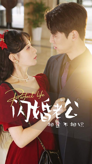 闪婚老公相逢不相识(90集) 闪婚老公相逢不相识(90集)免费在线看