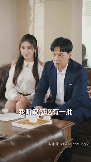 花都臣服(103集) 花都臣服(103集)短剧追到爽