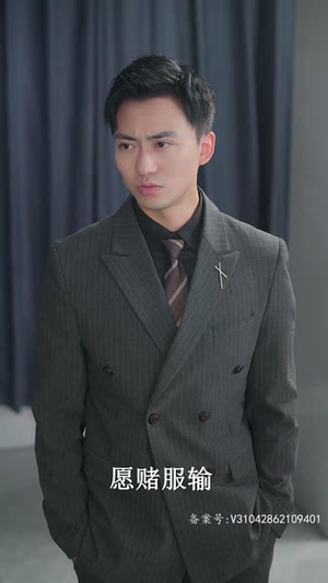 隐世医仙(95集) 隐世医仙(95集)女频短剧推荐