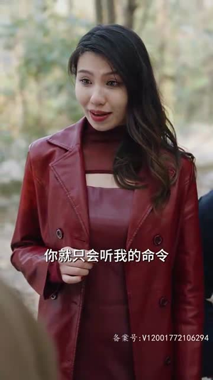 龙帝的女人(100集) 龙帝的女人(100集)第一季