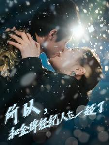 所以和金牌经纪人在一起了(30集) 所以和金牌经纪人在一起了(30集)解说文案