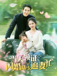 当天领证闪婚陆少追妻忙(80集) 当天领证闪婚陆少追妻忙(80集)360网盘观看