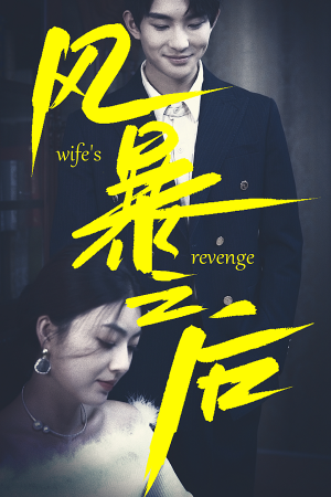 风暴之后(80集) 风暴之后(80集)热门短剧大全