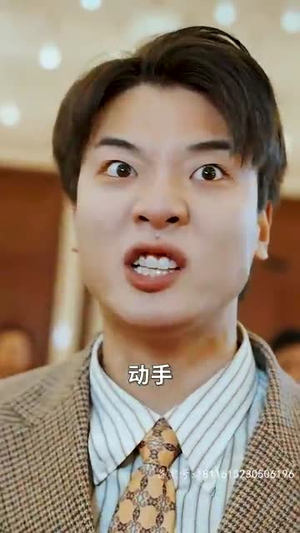 龙鼎（80集）让你一口气看完