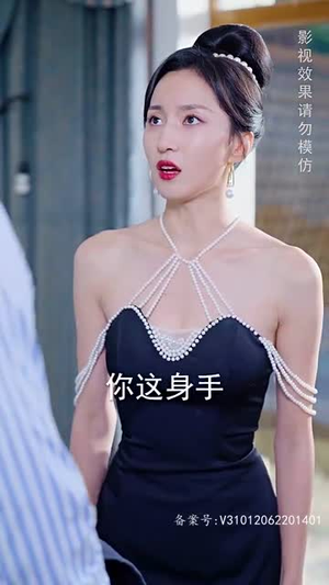 傲视潜龙(100集) 傲视潜龙(100集)全季一次看完